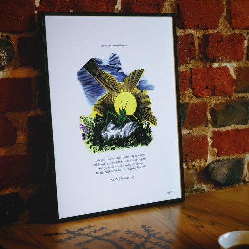 Plakat Konik polny_kolor.png