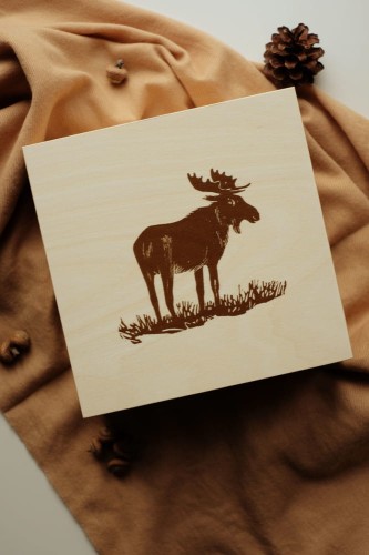 Szkatułka Łoś i kaczeniec.jpg