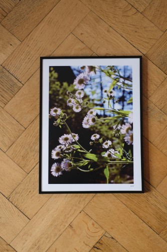 Plakat Przymiotno białe.jpg