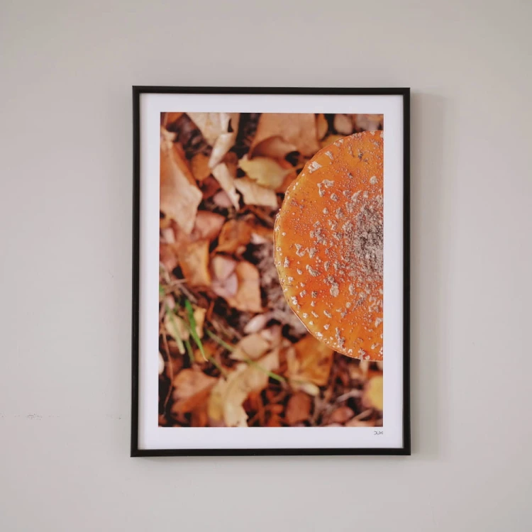 Plakat Muchomor.jpg