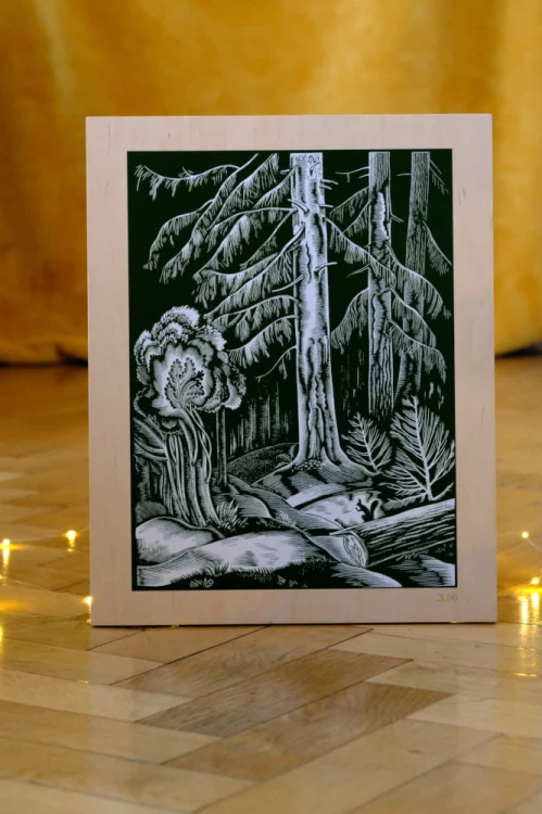 Grafika na sklejce Wiewiorka.jpg