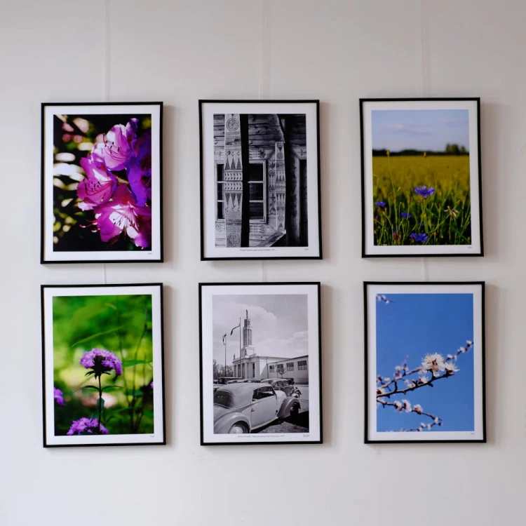 Plakat Różanecznik_galeria.jpg
